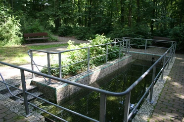 Tretbecken Heiligenberg Tretbecken in Heiligenberg, umgeben von grünen Bäumen und ausgestattet mit praktischen Handläufen.