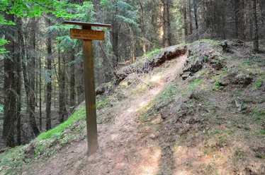 Karlsschanze historischer Innenwall Holzwegweiser zur Karlsschanze im dichten Wald, umgeben von grünem Moos und Nadelbäumen.