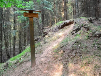 Karlsschanze historischer Innenwall Holzwegweiser zur Karlsschanze im dichten Wald, umgeben von grünem Moos und Nadelbäumen.