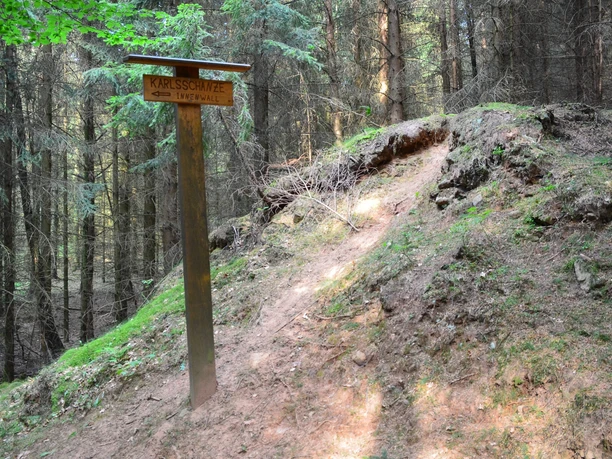 Karlsschanze historischer Innenwall Holzwegweiser zur Karlsschanze im dichten Wald, umgeben von grünem Moos und Nadelbäumen.