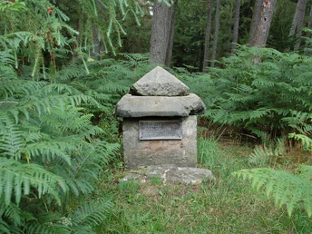 Kleiner Herrgott Steinernes Marterl mit pyramidenförmigem Dach, umgeben von Farn und Nadelbäumen im Wald.