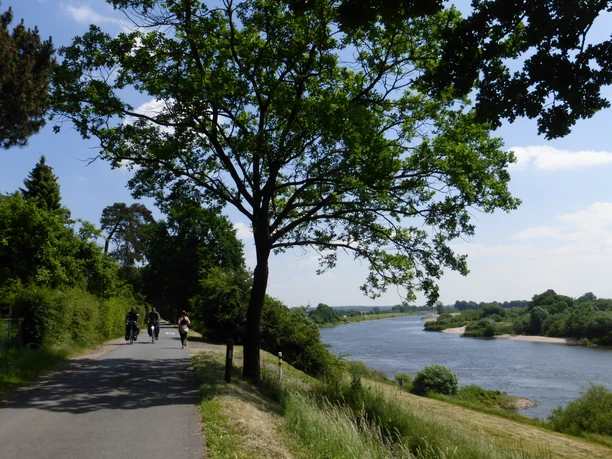 Weser-Radweg Achim-Baden Radweg entlang der Weser mit Radfahrern unter einem Baum, umgeben von grüner Natur und Flusslandschaft.