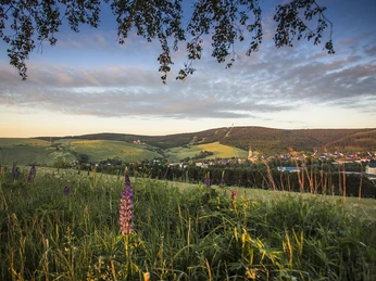 Kurort Oberwiesnethal