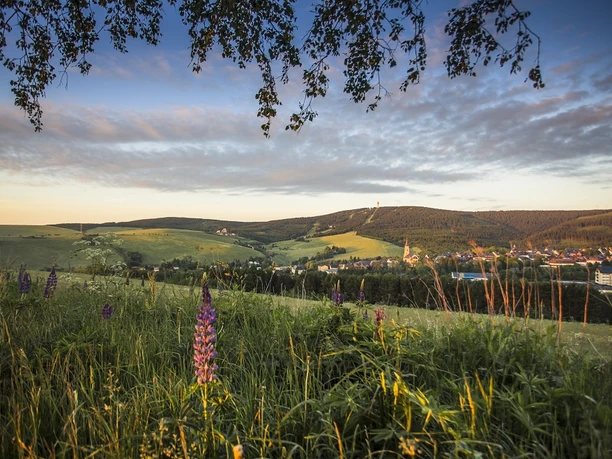 Kurort Oberwiesnethal