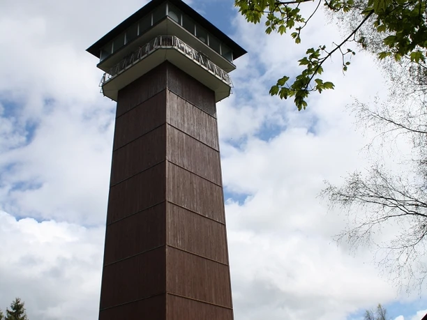 König Albert Turm Turm aus Holz und Stein mit Aussichtsgalerie, vor blauem Himmel und Bäumen. Fahrzeuge parken unten.