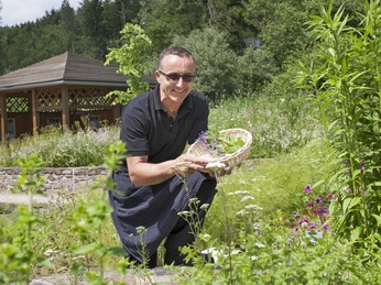 frische Kräuter aus dem Kräutergarten