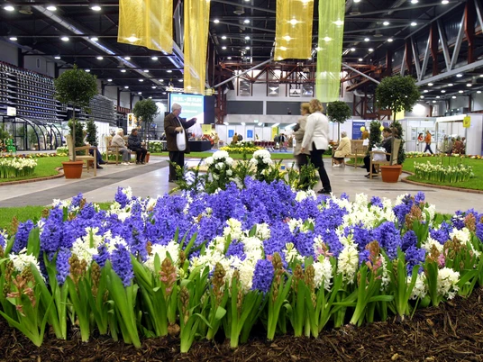 Messe Chemnitz / Chemnitz Arena