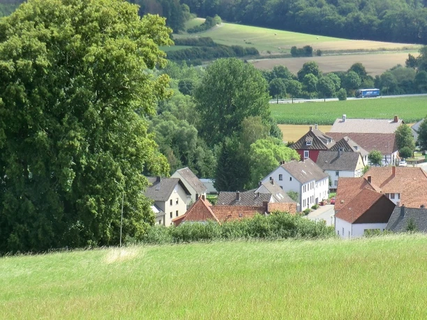 Eine Baumgruppe verbirgt Krawinkels Kreuz, umgeben von weiten Feldern und einer ruhigen Landschaft.