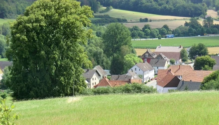 Krawinkels Kreuz versteckt in der Baumgruppe Eine Baumgruppe verbirgt Krawinkels Kreuz, umgeben von weiten Feldern und einer ruhigen Landschaft.