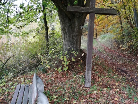 Winklers Kreuz Ein hölzernes Kreuz neben einem Baum steht an einem laubbedeckten Weg mit einer Holzbank.