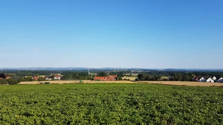 Ellerburg Aue Radweg - 3. Tour Grüne Wiesen und Felder mit verstreuten Höfen und Häusern, blauer Himmel im Hintergrund.