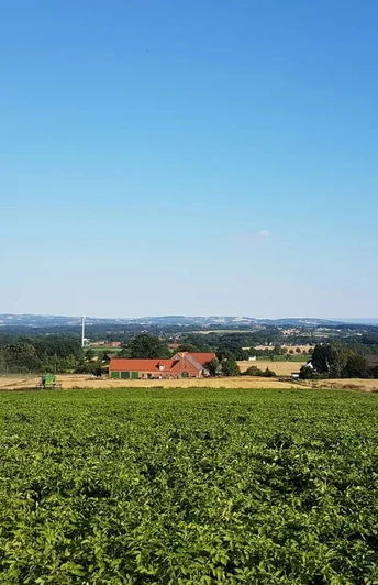 Ellerburg Aue Radweg - 3. Tour Grüne Wiesen und Felder mit verstreuten Höfen und Häusern, blauer Himmel im Hintergrund.