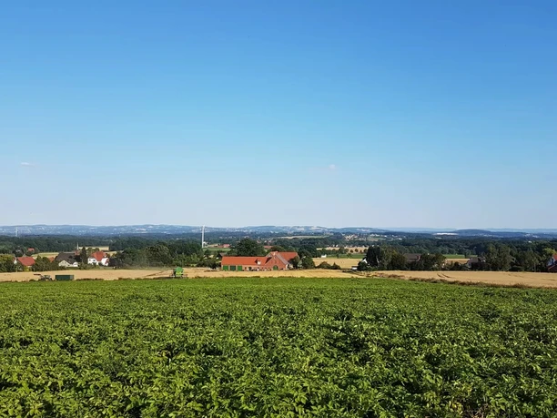 Ellerburg Aue Radweg - 3. Tour Grüne Wiesen und Felder mit verstreuten Höfen und Häusern, blauer Himmel im Hintergrund.