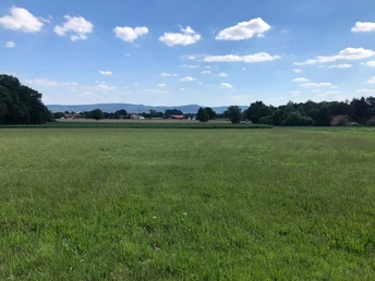 Blick zum Wiehengebirge Blick über weite Wiesen auf das sanft ansteigende Wiehengebirge unter einem leicht bewölkten Himmel.