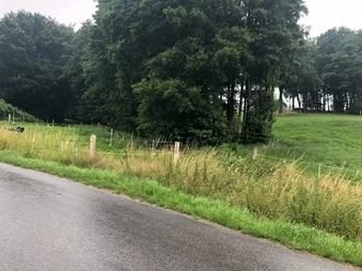 Ellerburg Aue Radweg - Tour Rödinghausen Nasser Radweg entlang von Wiesen mit Blick auf dichte Bäume und sanft ansteigendes Gelände.