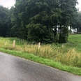 Ellerburg Aue Radweg - Tour Rödinghausen Nasser Radweg entlang von Wiesen mit Blick auf dichte Bäume und sanft ansteigendes Gelände.