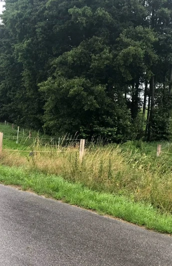 Ellerburg Aue Radweg - Tour Rödinghausen Nasser Radweg entlang von Wiesen mit Blick auf dichte Bäume und sanft ansteigendes Gelände.