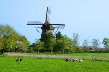 Muehle-Laar.JPG