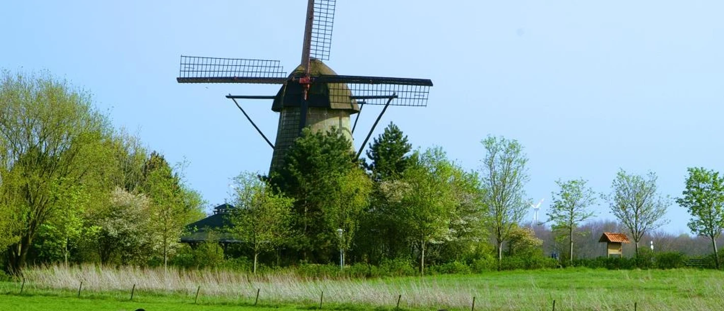 Muehle-Laar.JPG