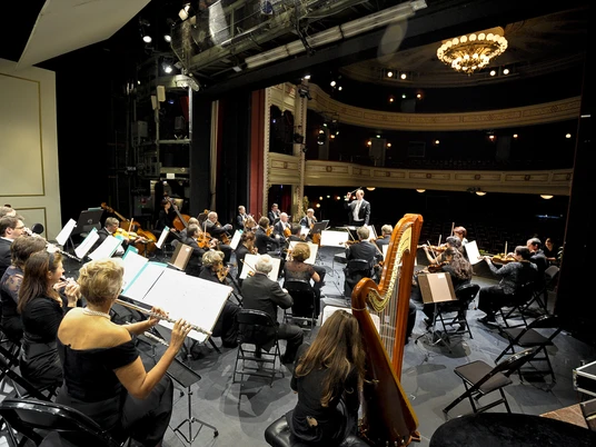 Neue Lausitzer Philharmonie