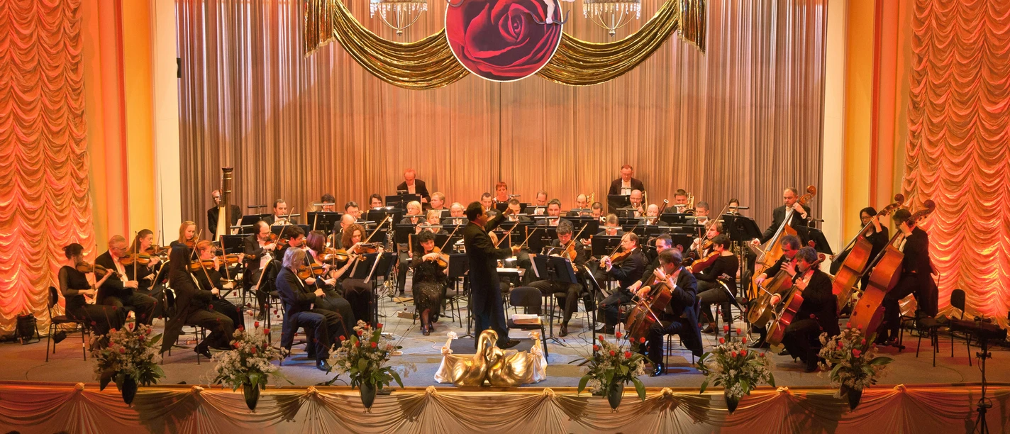 Erzgebirgisches Sinfonieorchester Aue