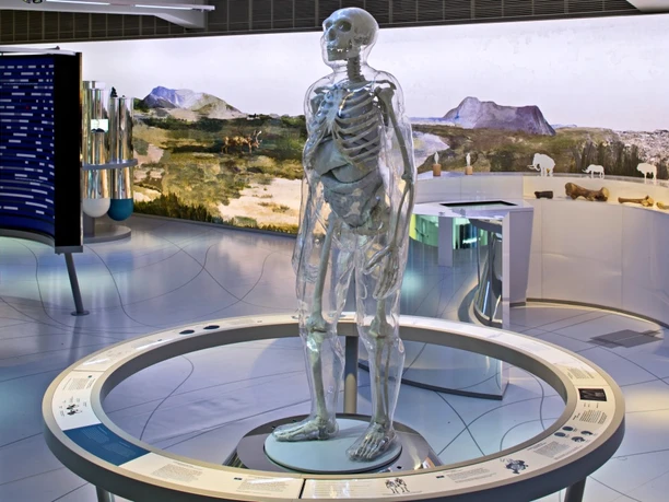 Gläserner Neandertaler