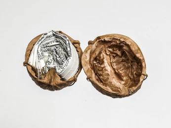 Religiöse Literatur der Zeugen Jehovas, in einer Walnuss (Nachbildung) ins Gefängnis geschmuggelt, Zeugen Jehovas in Deutschland