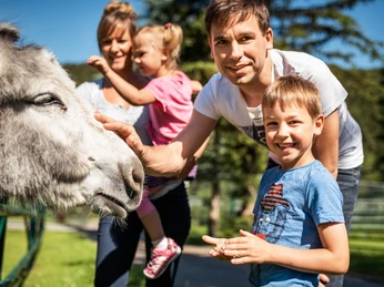 Natur- und Wildpark Waschleithe