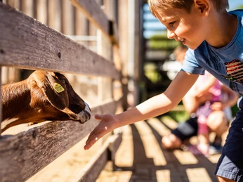 Natur- und Wildpark Waschleithe