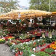 Stände auf dem Achimer Wochenmarkt bieten bunt blühende Blumen, frisches Gemüse und lebhafte Atmosphäre.
