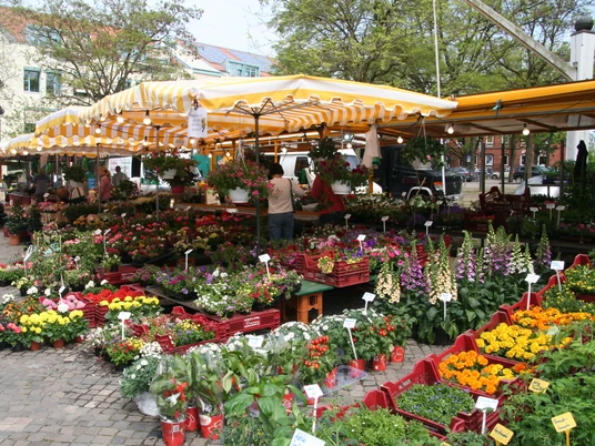 Stände auf dem Achimer Wochenmarkt bieten bunt blühende Blumen, frisches Gemüse und lebhafte Atmosphäre.