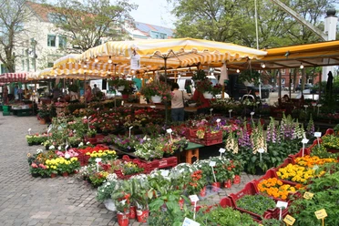 Achimer Wochenmarkt Stände auf dem Achimer Wochenmarkt bieten bunt blühende Blumen, frisches Gemüse und lebhafte Atmosphäre.