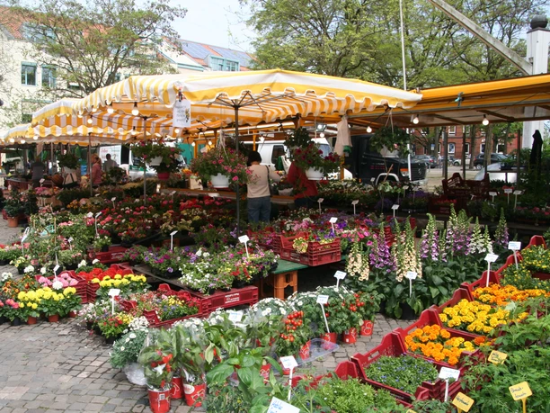 Achimer Wochenmarkt Stände auf dem Achimer Wochenmarkt bieten bunt blühende Blumen, frisches Gemüse und lebhafte Atmosphäre.