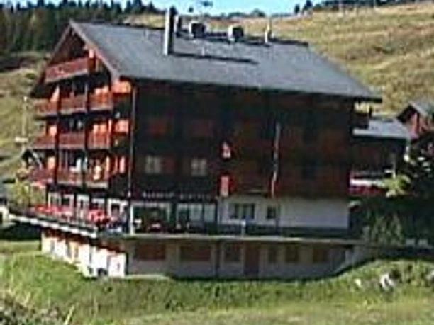 Aussenansicht Sommer