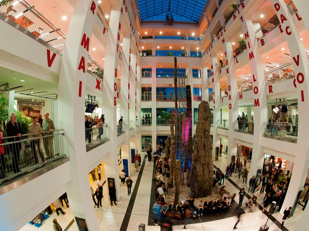 DAStietz mit versteinertem Wald