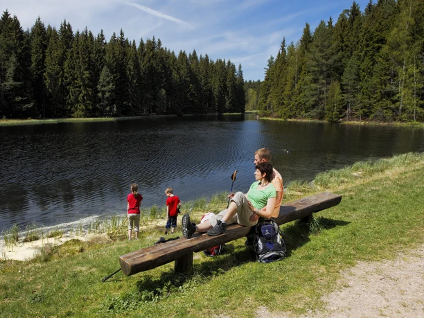 People relax on a bench by the tranquil Vogtlandsee lake, surrounded by dense coniferous forests.