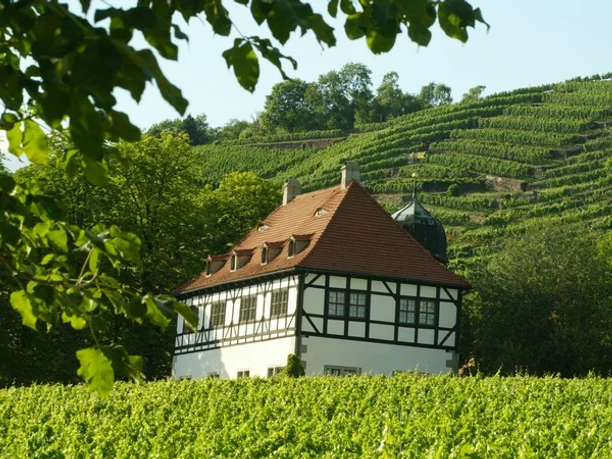 Weingut Hoflößnitz