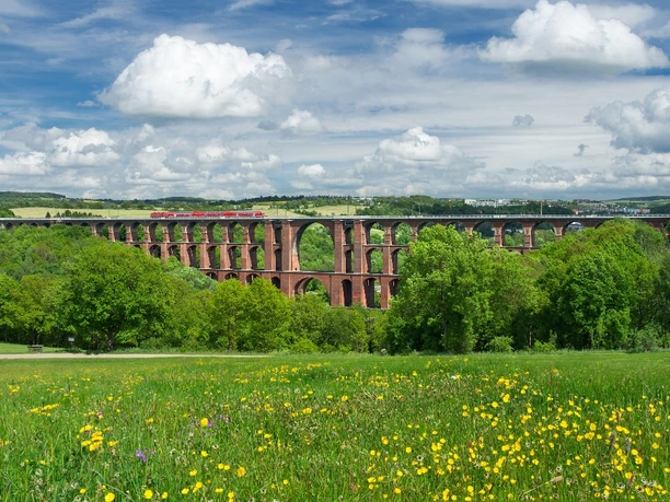 Göltzschtalbrücke Eine mehrstöckige Backsteinbrücke überspannt ein grünes Tal, mit Zug und blühender Wiese.