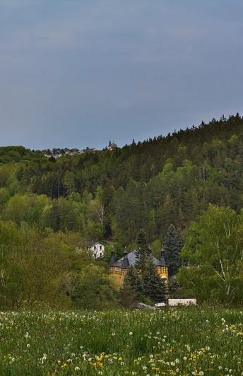 Blick ins Triebestal bei Hohenleuben Blick auf das bewaldete Triebestal bei Hohenleuben mit blühender Wiese im Vordergrund.View of the wooded Triebestal valley near Hohenleuben with a flowering meadow in the foreground.Pohled na zalesněné údolí Triebestal u Hohenleubenu s kvetoucí loukou v popředí.Widok na zalesioną dolinę Triebestal w pobliżu Hohenleuben z kwitnącą łąką na pierwszym planie.Uitzicht op het bosrijke Triebestal bij Hohenleuben met een bloeiende weide op de voorgrond.Veduta della boscosa valle Triebestal vicino a Hohenleuben con un prato fiorito in primo piano.
