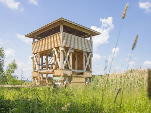 Beobachtungsturm Friesnitzer See Holzbeobachtungsturm am Friesnitzer See, umgeben von Wiesen und Himmel im Hintergrund.