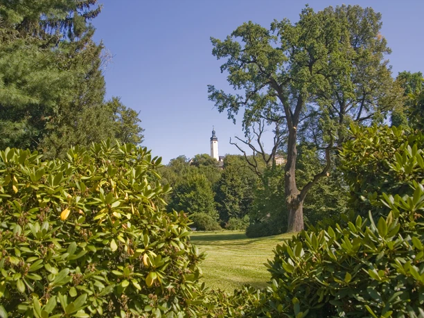 Fürstlich Greizer Park mit Blick zum Oberen Schloss Blick auf das Obere Schloss von grüner Parklandschaft und Bäumen umgeben.
