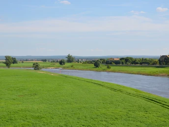 Lutherweg bei Torgau