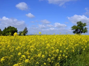 Lutherweg bei Kriebstein