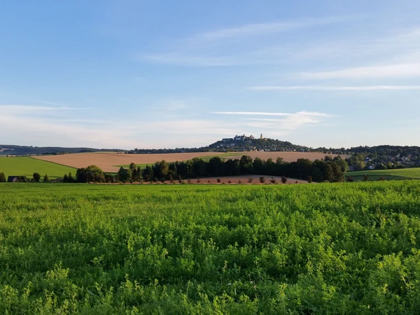 Extensive, green fields with a small, wooded hill in the background under a blue sky.
