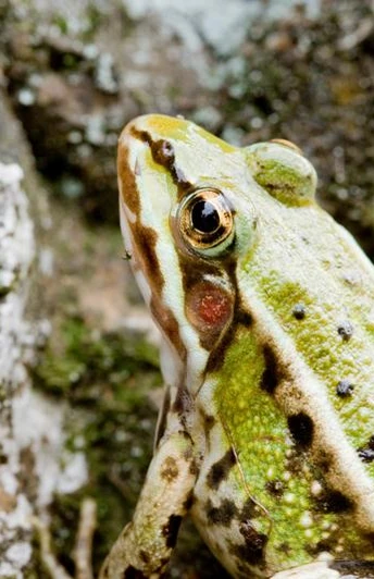 Der Namensgeber der Radroute.