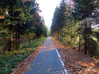 Mulderadweg bei Blauenthal