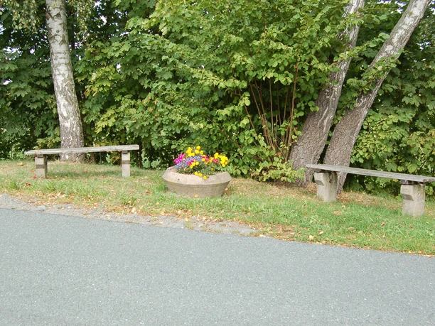 image Zwei einfache Holzbänke stehen neben einem bepflanzten Blumentrog am Wegesrand.