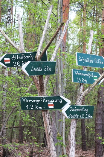 Ausschilderung im Planitzwald