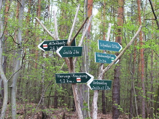 Ausschilderung im Planitzwald