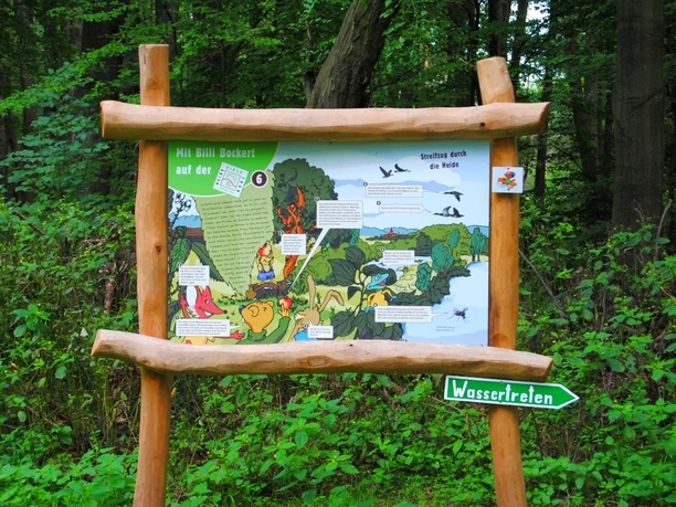 Informationstafel mit Billi Bockert auf der Heide-Biber-Tour